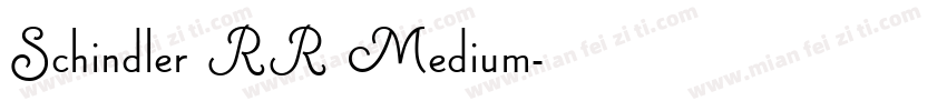 Schindler RR Medium字体转换